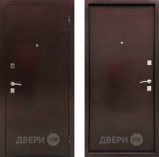 Дверь Ратибор Дачная металл/металл в Звенигород