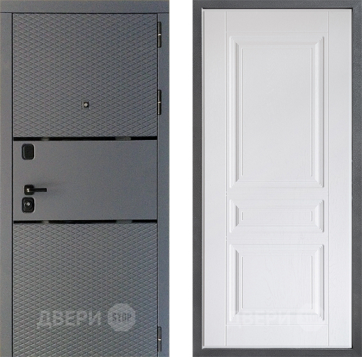 Входная металлическая Дверь Дверной континент Диамант Дизайн ФЛ-243 Альберо Браш серебро в Звенигород