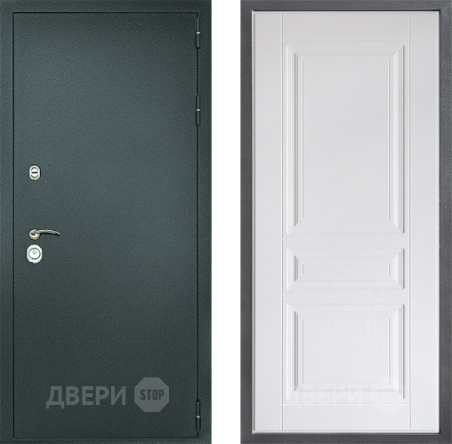Входная металлическая Дверь Дверной континент Рубикон Серебро Дизайн ФЛ-243 Альберо Браш серебро в Звенигород