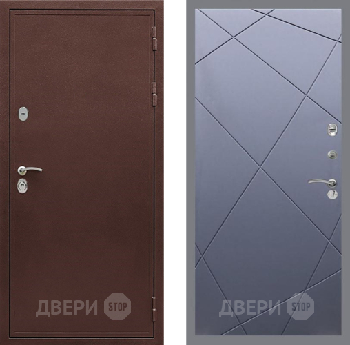 Дверь Рекс (REX) 5 металл 3 мм FL-291 Силк титан в Звенигород
