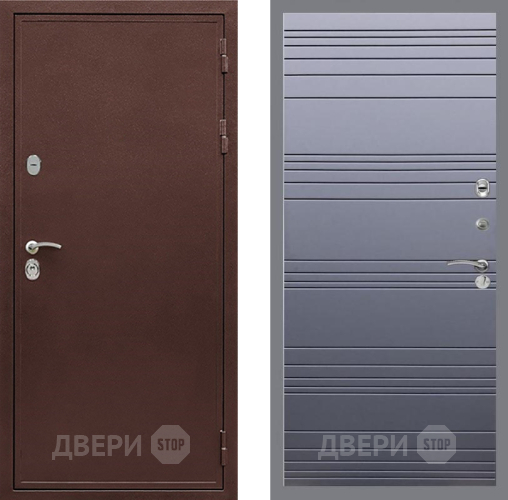 Дверь Рекс (REX) 5 металл 3 мм Line Силк титан в Звенигород